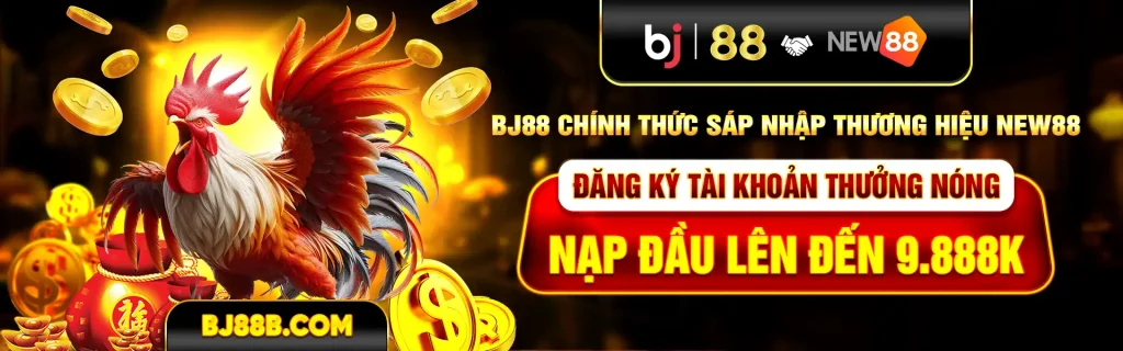 Banner BJ88