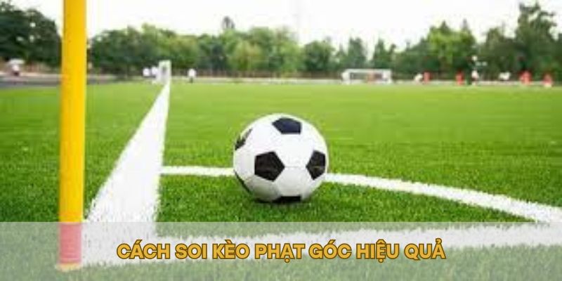 Cách soi kèo phạt góc hiệu quả