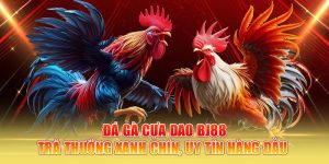 Đá Gà Cựa Dao Bj88 – Trả Thưởng Xanh Chín, Uy Tín Hàng Đầu