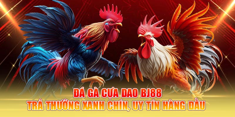 Đá Gà Cựa Dao Bj88 – Trả Thưởng Xanh Chín, Uy Tín Hàng Đầu