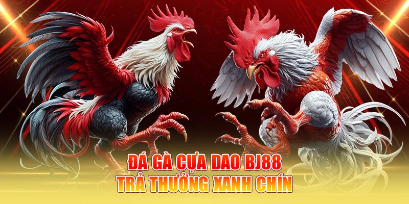 Đá gà cựa dao BJ88 trả thưởng xanh chín