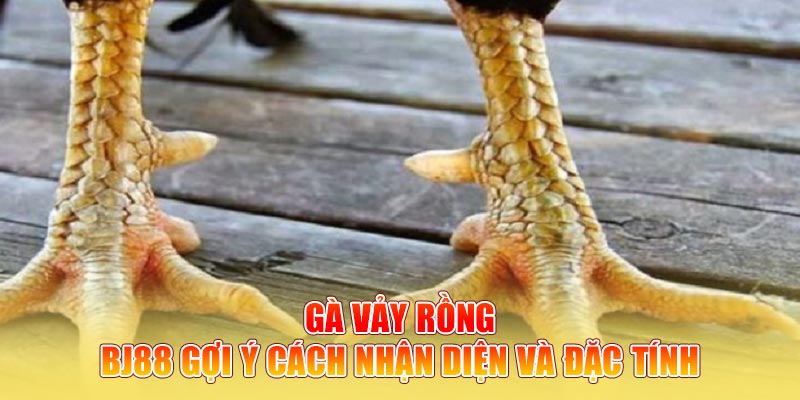 Gà Vảy Rồng - BJ88 Gợi Ý Cách Nhận Diện Và Đặc Tính
