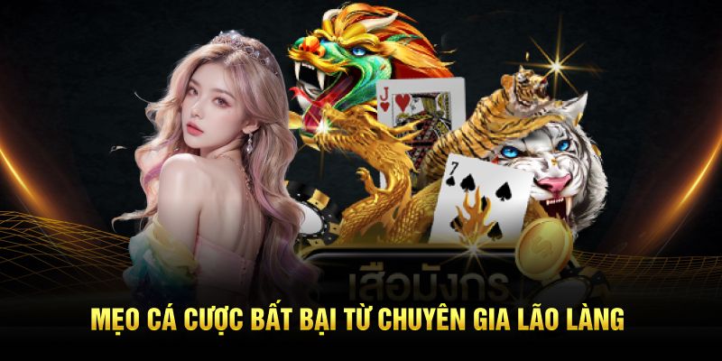 Mẹo cá cược bất bại từ chuyên gia lão làng