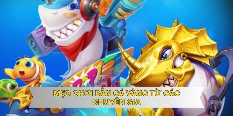 Mẹo chơi bắn cá vàng từ các chuyên gia