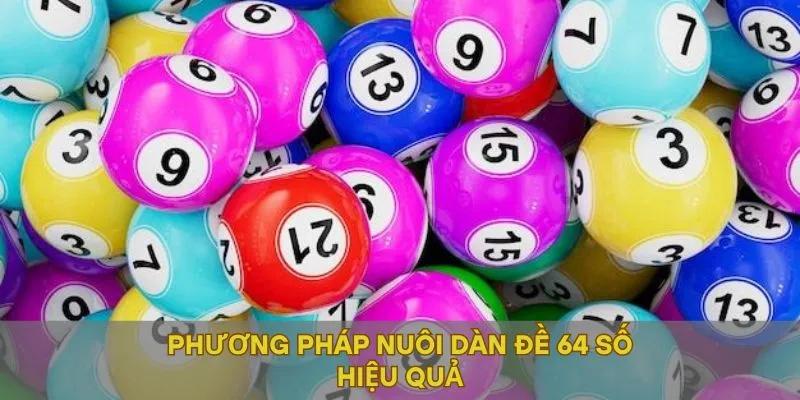 Phương pháp nuôi dàn đề 64 số hiệu quả
