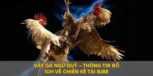 Vảy Gà Ngũ Quỷ – Thông Tin Bổ Ích Về Chiến Kê Tại BJ88