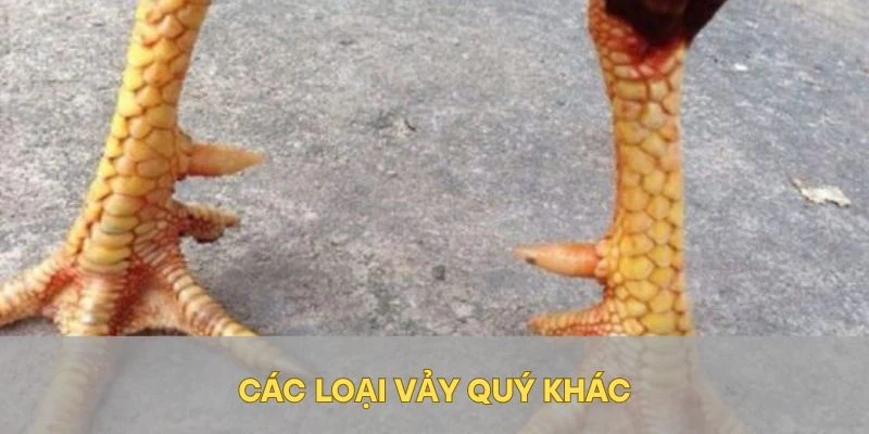 Các loại vảy quý khác