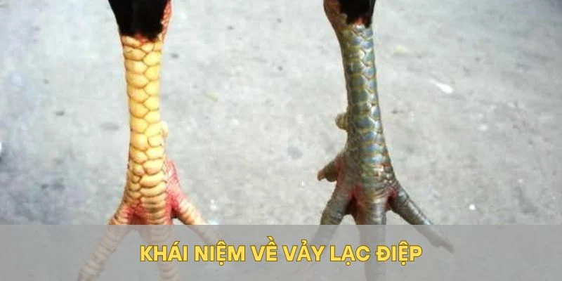 Khái niệm về vảy lạc điệp