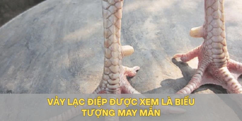 Vảy lạc điệp được xem là biểu tượng may mắn